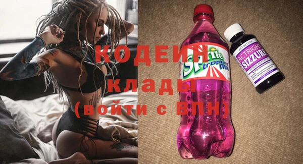 Альфа ПВП Горняк