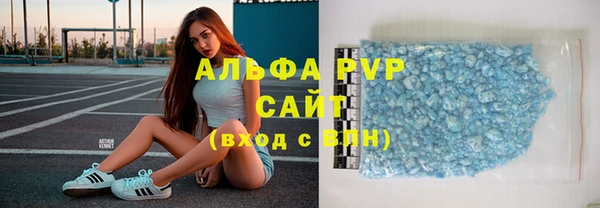 Альфа ПВП Горняк
