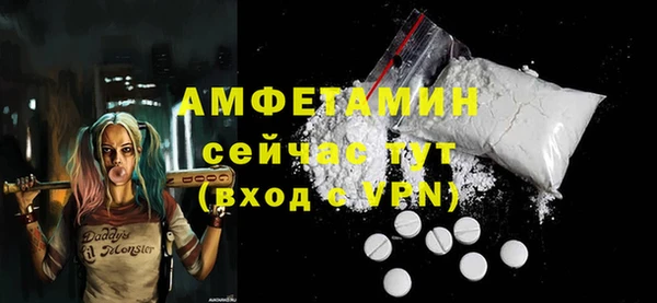 Альфа ПВП Горняк