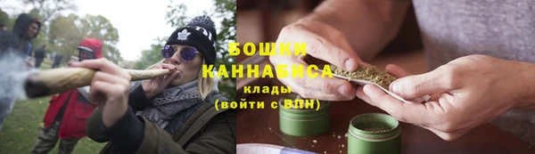 Альфа ПВП Горняк
