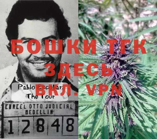 ГАЛЛЮЦИНОГЕННЫЕ ГРИБЫ Остров