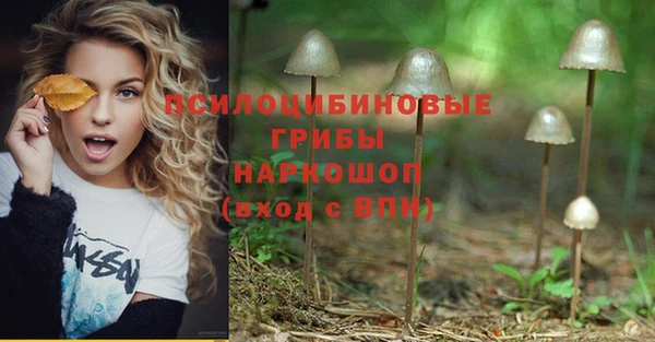 jwh Горнозаводск