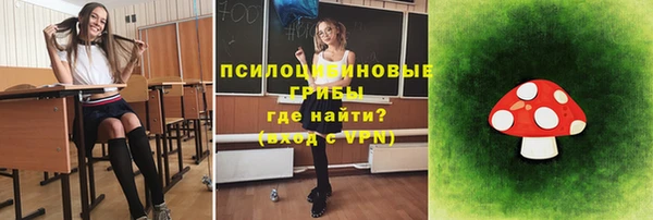 spice Горно-Алтайск